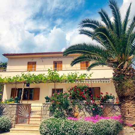 Apartments Katarina Porat マリンスカ エクステリア 写真