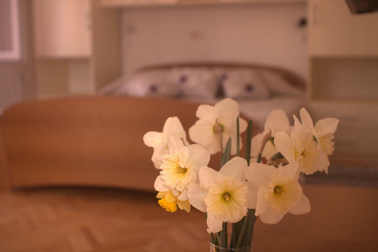 Apartments Katarina Porat マリンスカ エクステリア 写真